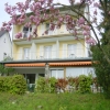 Frühling Frühling